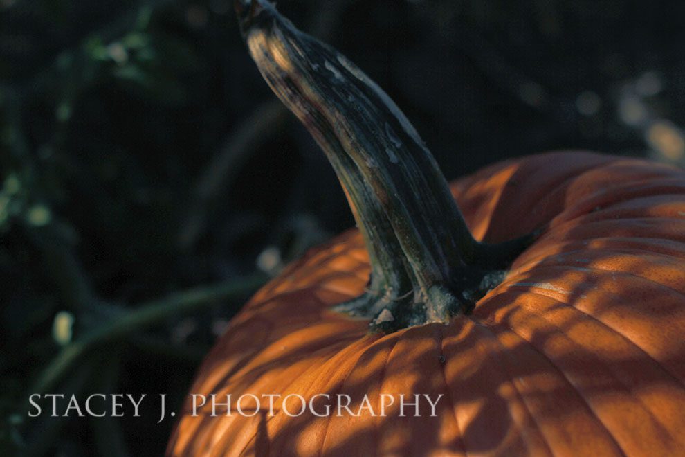 L10