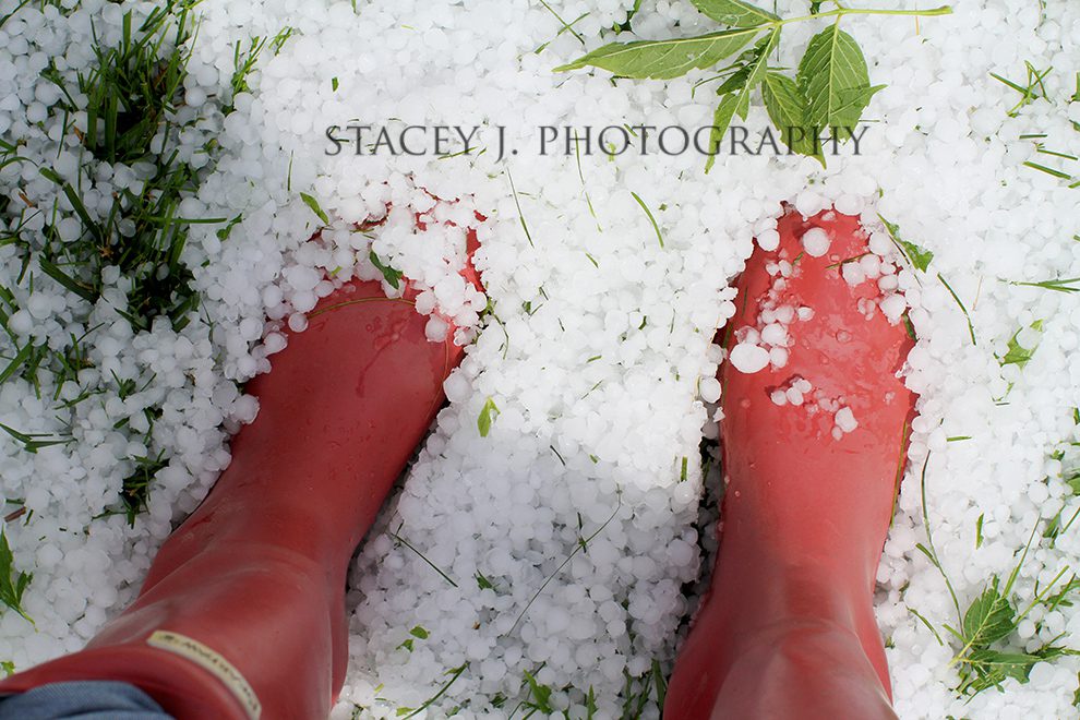 L11