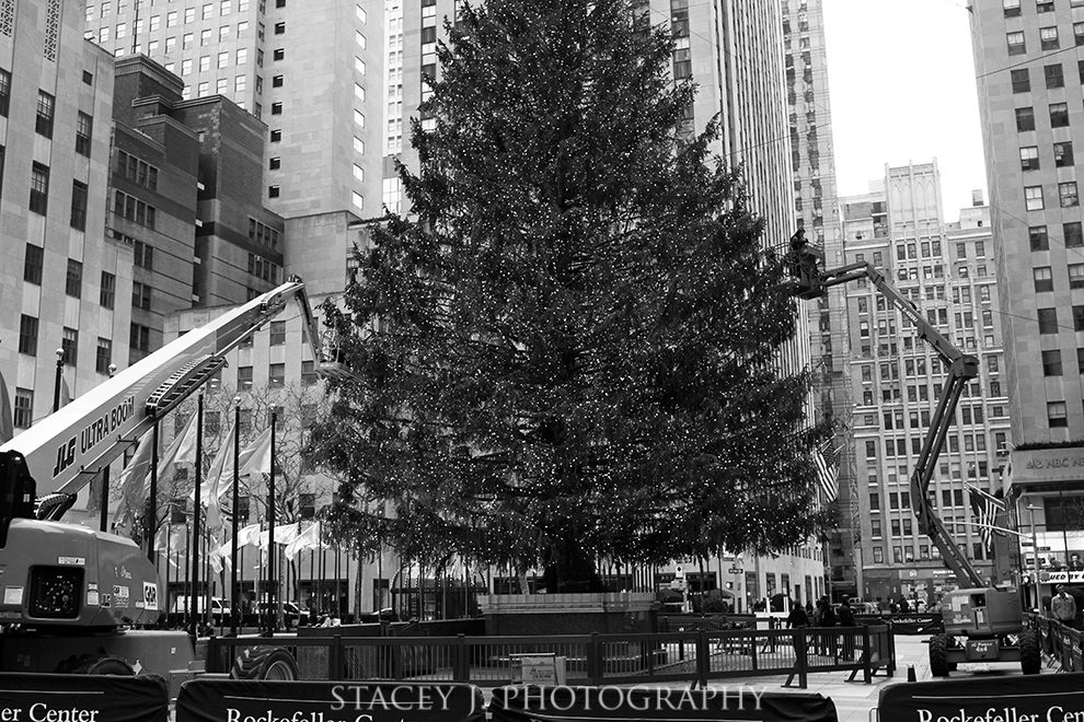 L27